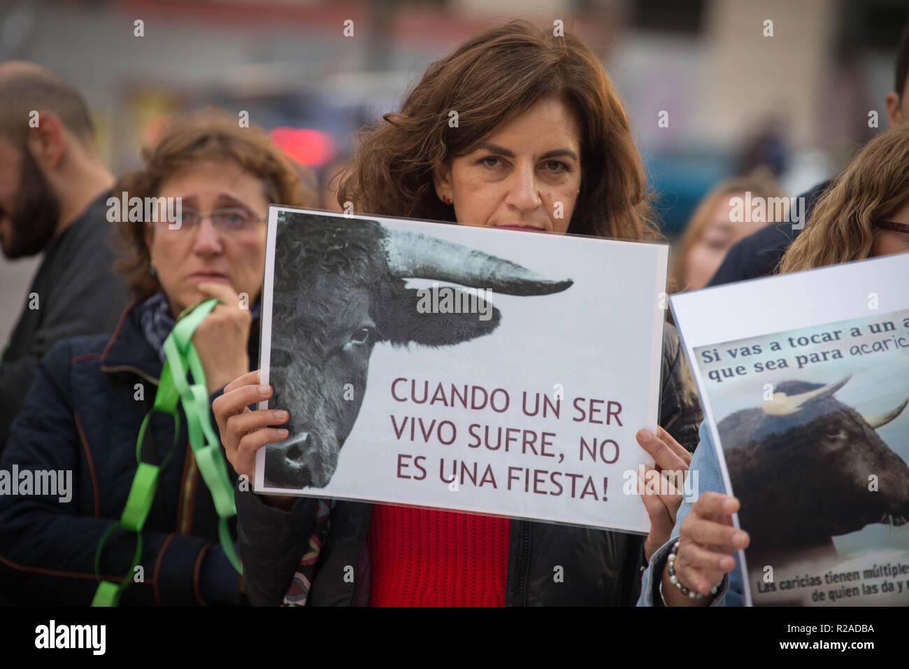 Protester seen carrying a placard during the demonstration against bullfighting. Anti-bullfighting protest in the emblematic bullring of Las Ventas in Madrid for the end of bullfighting and the suffering of animals. Stock Photo