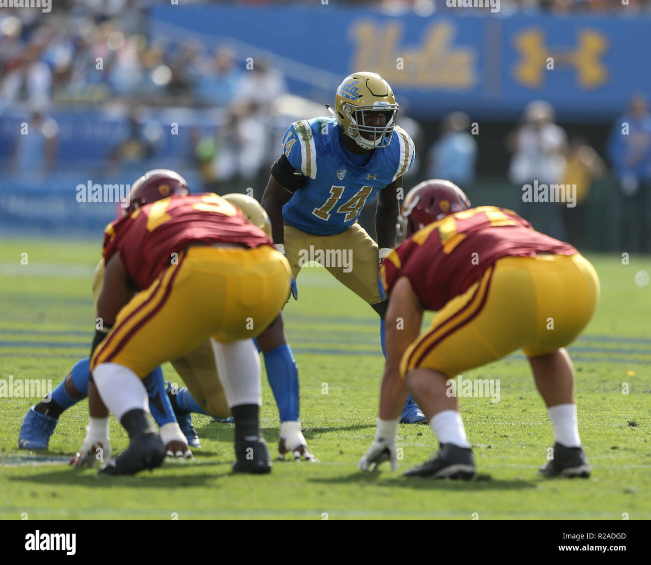 Krys barnes hi-res stock photography and images - Alamy