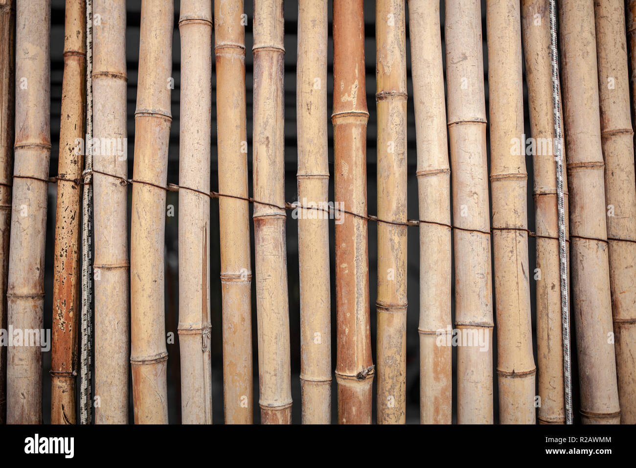 Dry Bamboo Wall tied with rope Texture Background,Bamboo fence