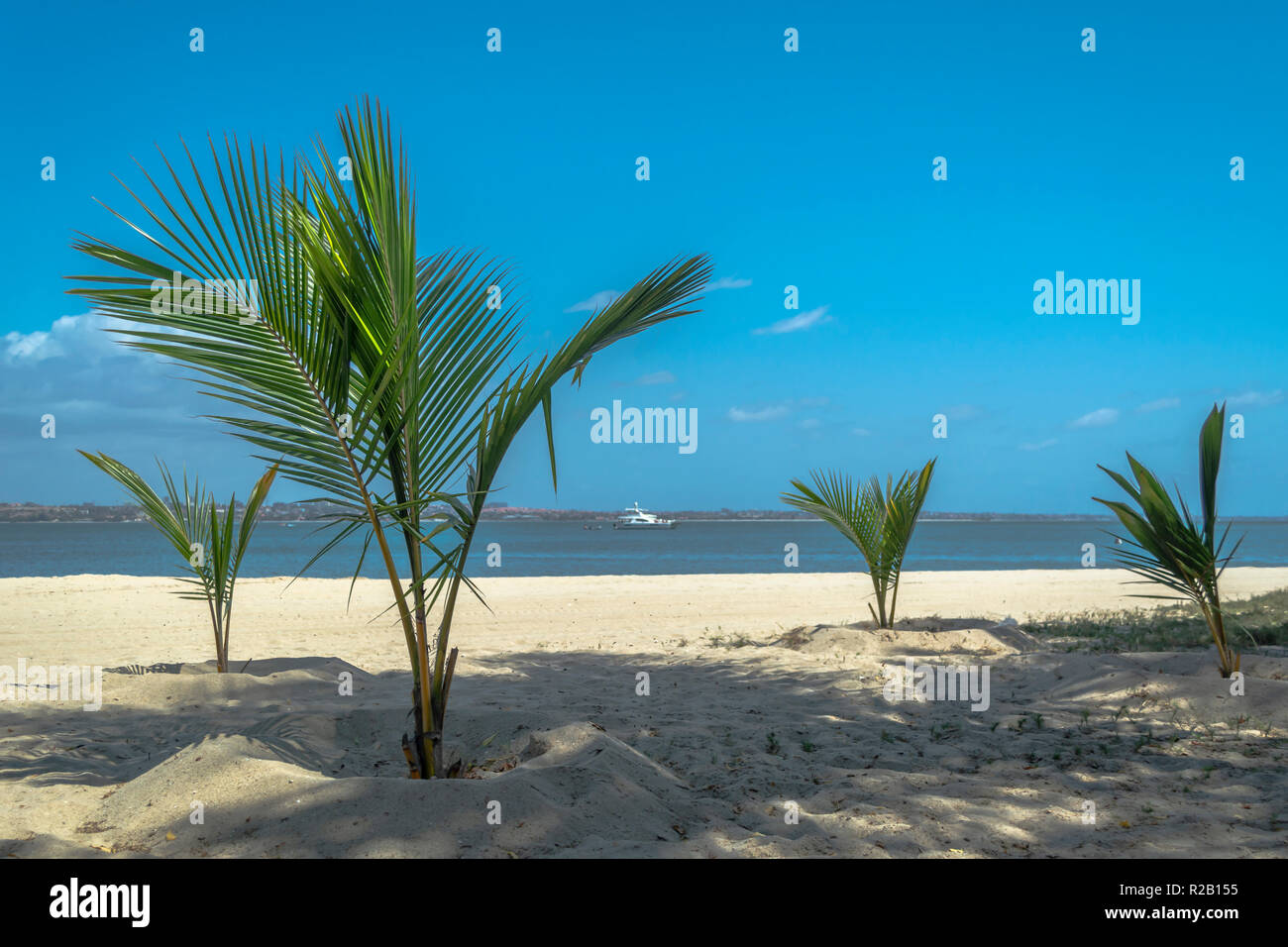 The mussulo island hi-res stock photography and images - Alamy