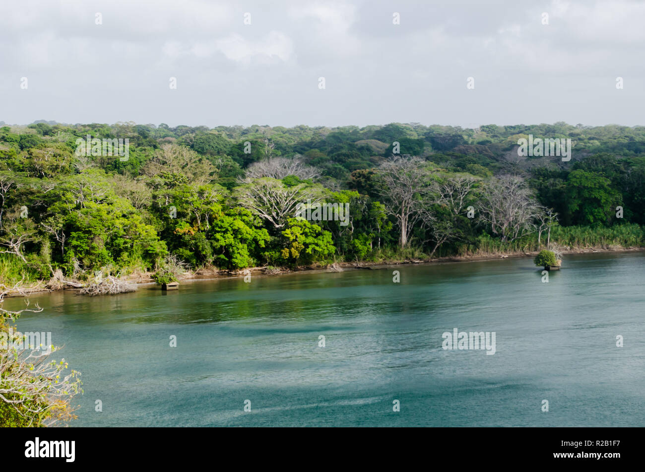 San Lorenzo Protected Area as seen from Fort San Lorenzo in Colon Stock Photo