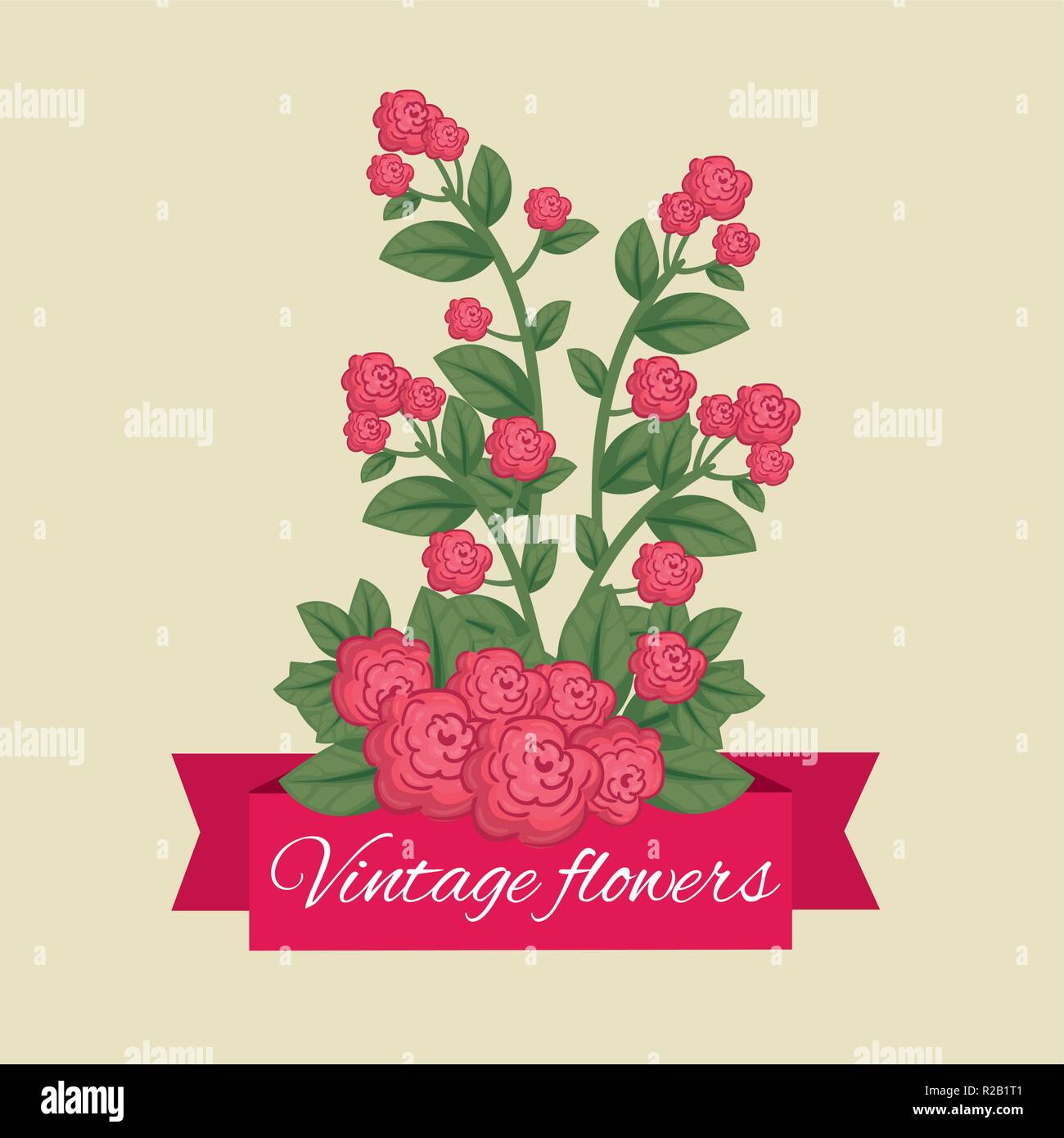 cute flowers with nature petals and leaves Stock Vector Image & Art - Alamy