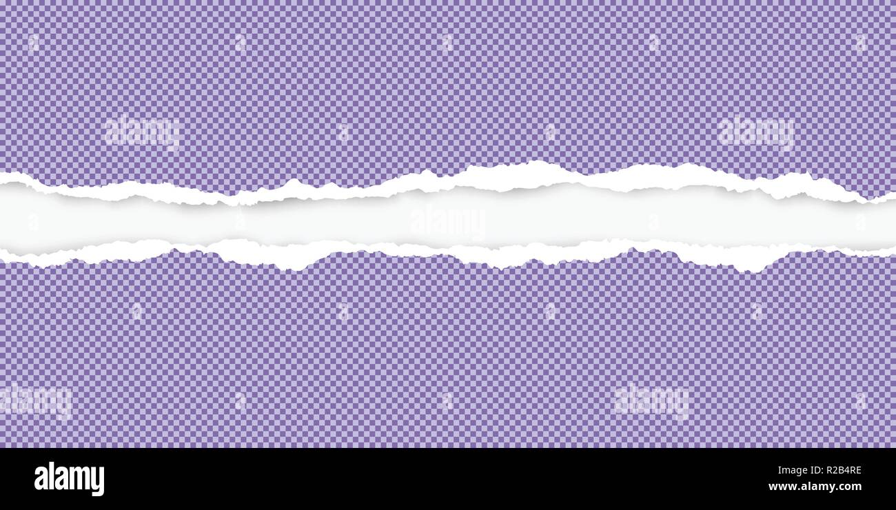 Violet Ripped Paper Squared ripped horizontal violet paper for text or message are on white ...