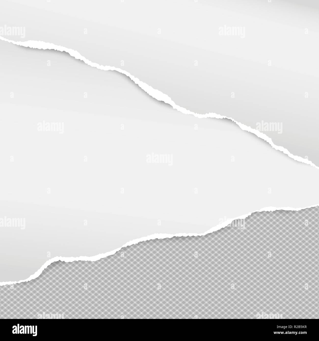 White ripped note paper strips for text or message on squared gray ...