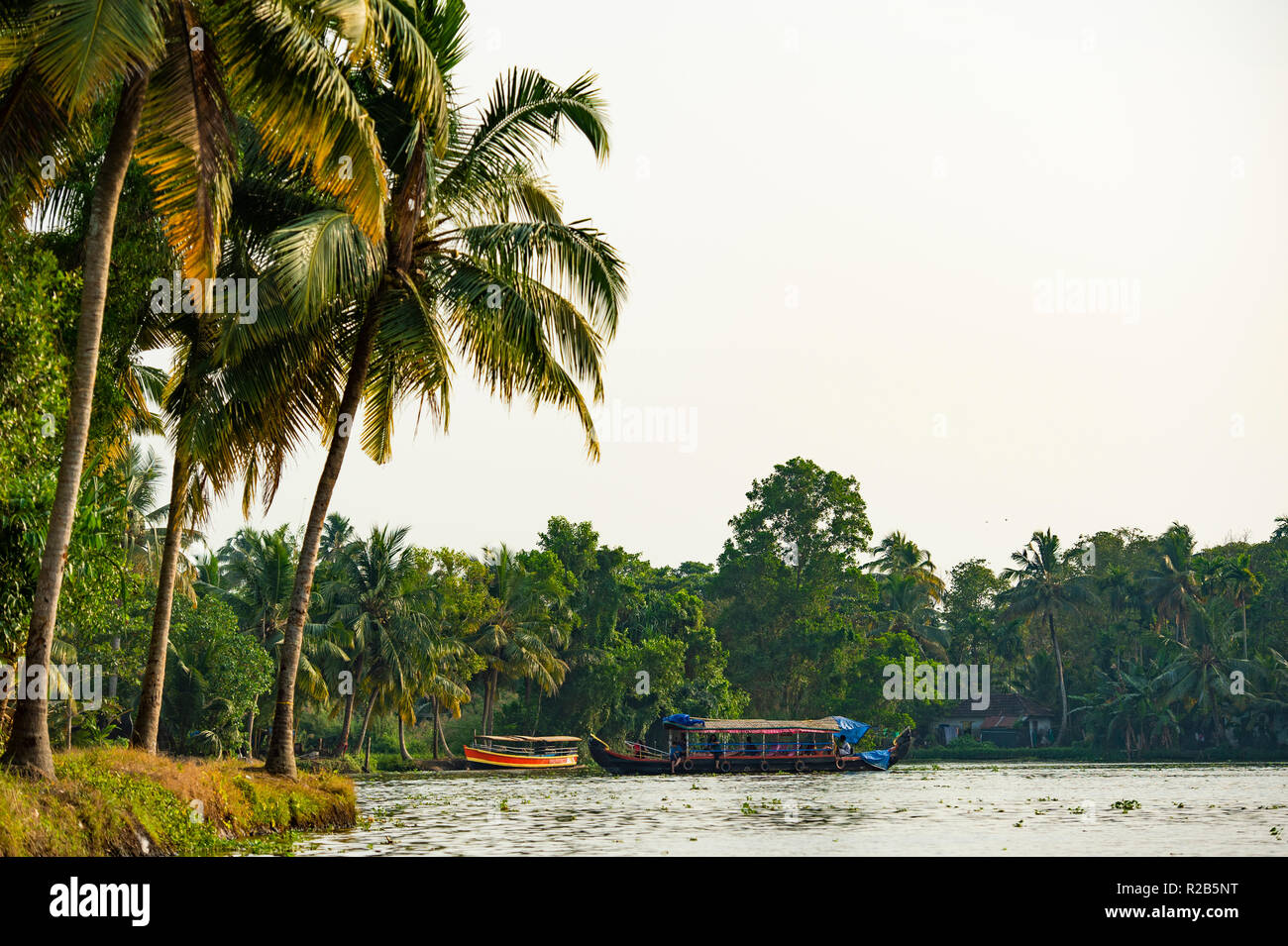 A traditional boat is anchored on the bank of a canal of the famous Alleppey's backwaters. Kerala, India. Stock Photo