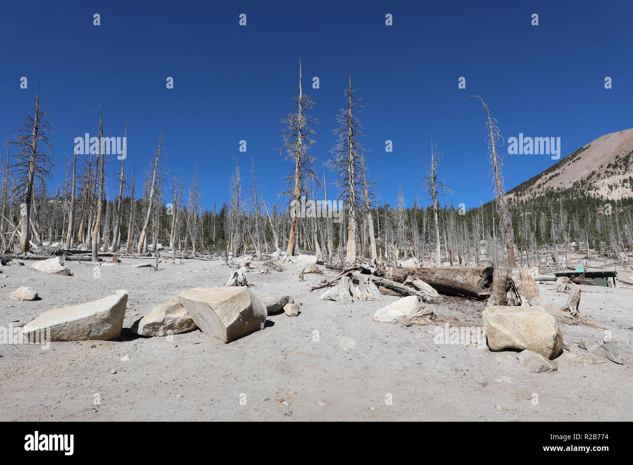 Barren Landscape near Horseshoe Lake, Mammoth Lakes, California, United States of America Stock Photo