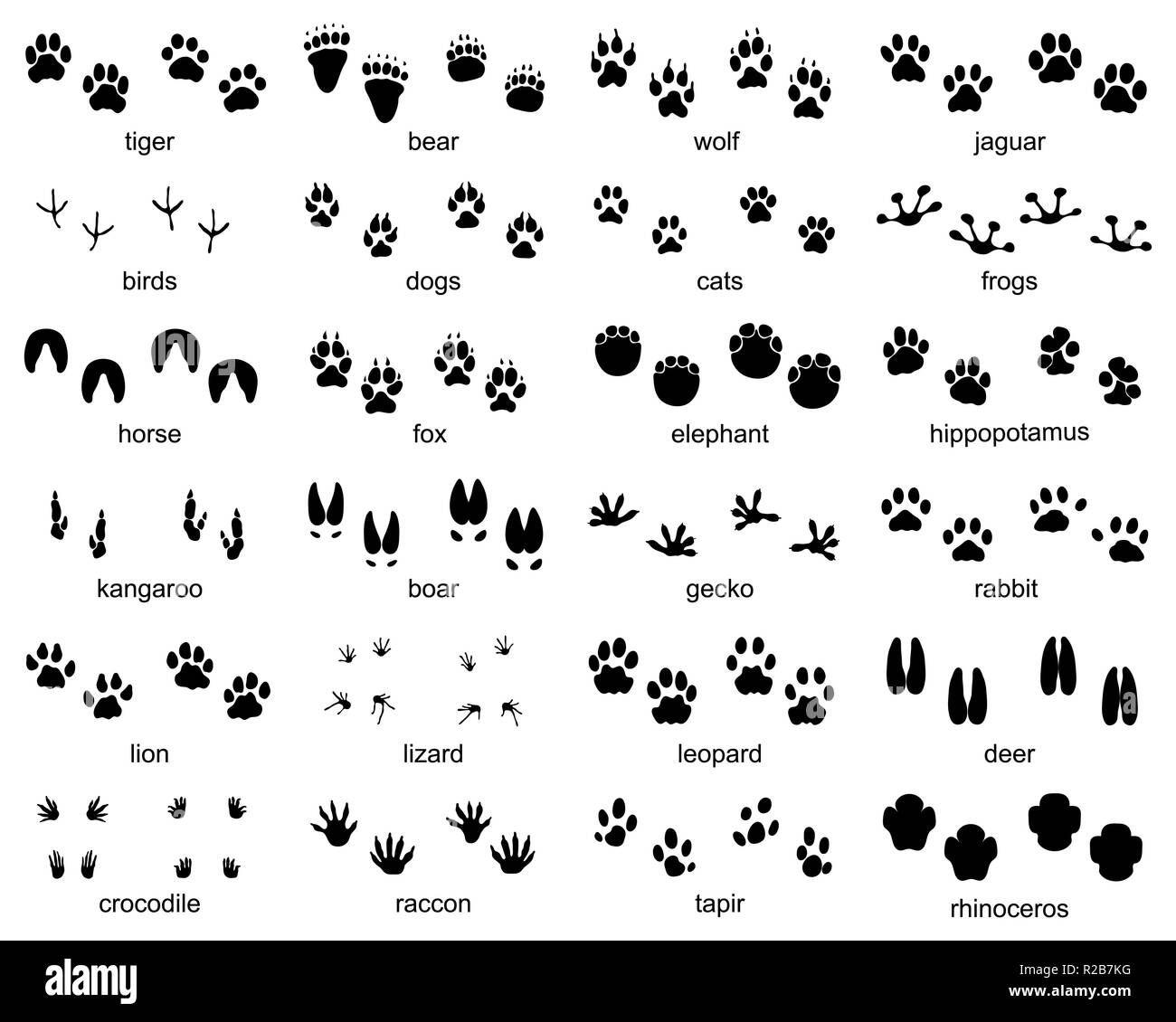 Set of footprints of wild animals, illustration of black silhouette