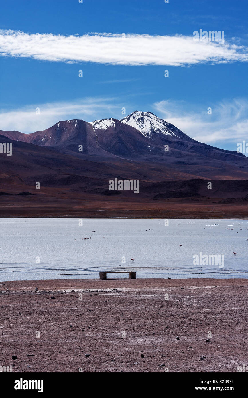 Landscape of the Andes mountain at Stinky lake (Laguna Hedionda), Bolivia Stock Photo