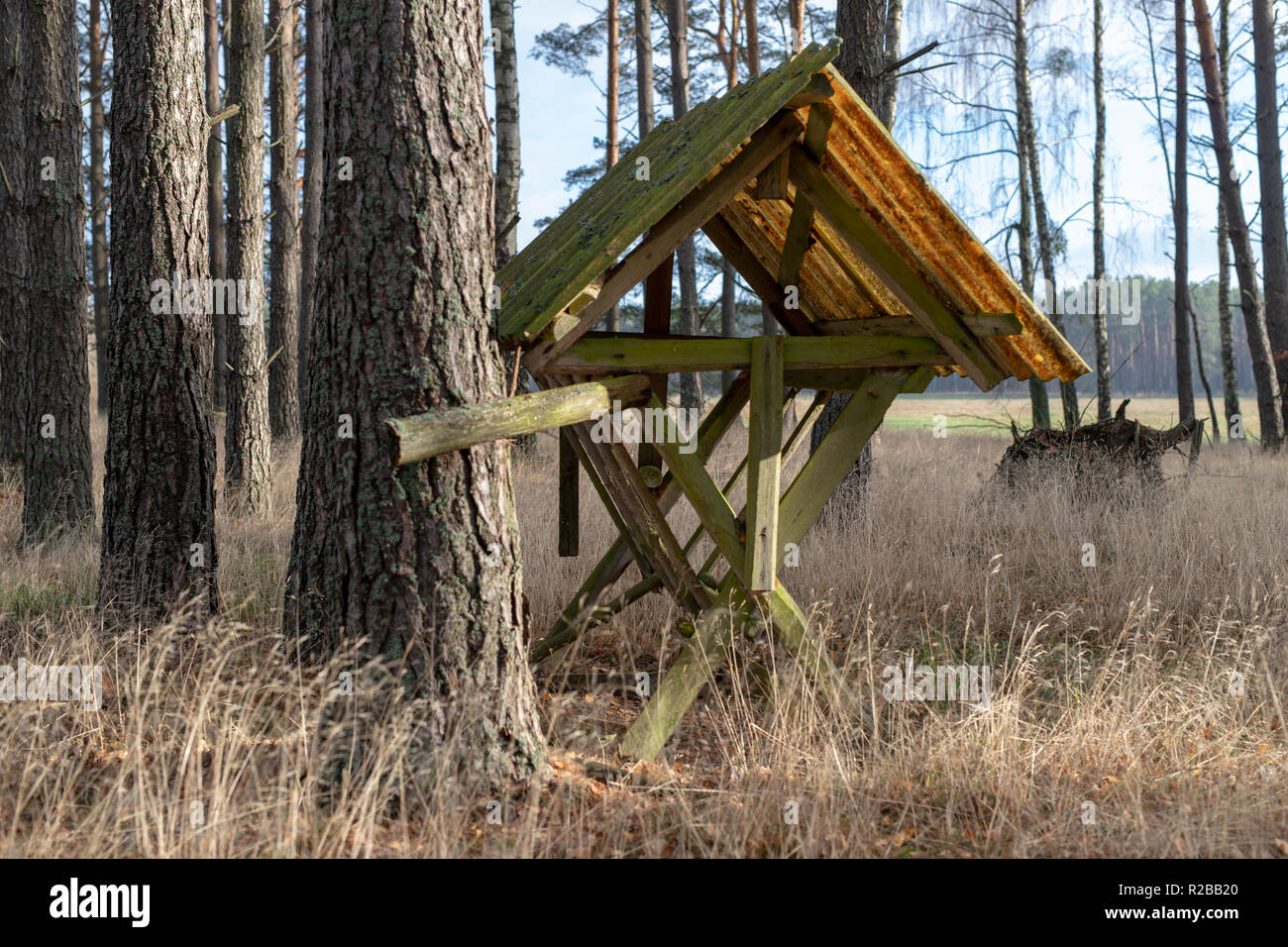 Forest Fodder Spring fodder rack hi-res stock photography and images - Alamy