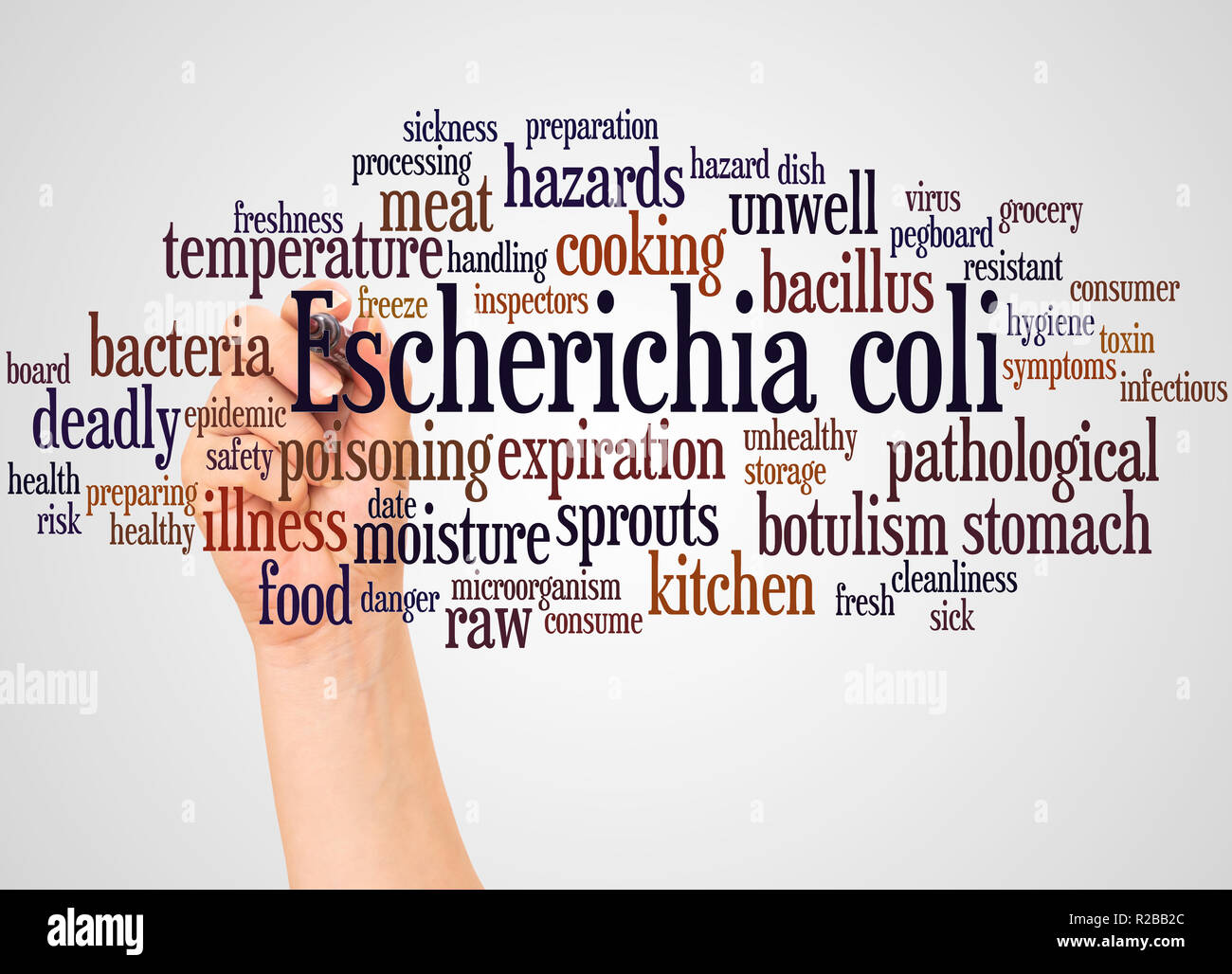 Escherichia coli word cloud and hand with marker concept on white background. Stock Photo