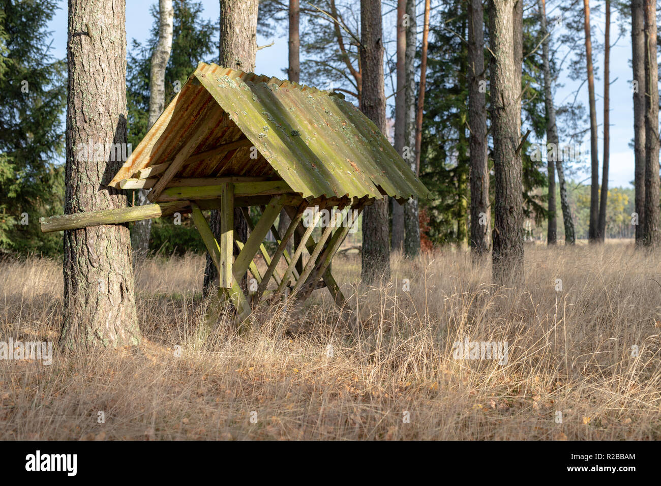Fodder Rack Animals Spring fodder rack hi-res stock photography and images - Alamy