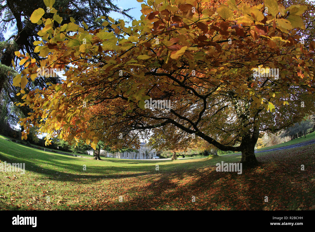 autum time with large country residence, ireland, Stock Photo