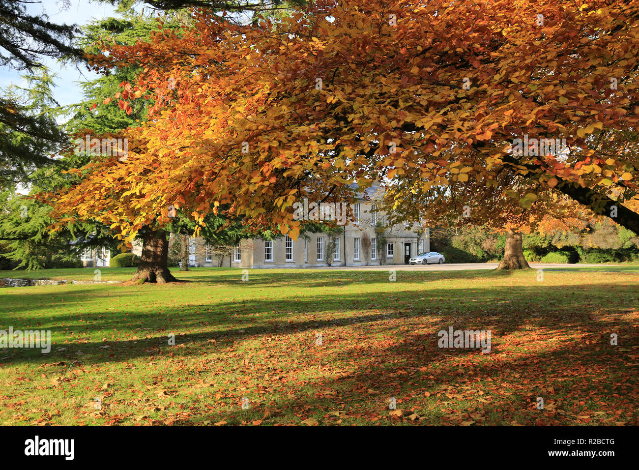 autum time with large country residence, ireland, Stock Photo