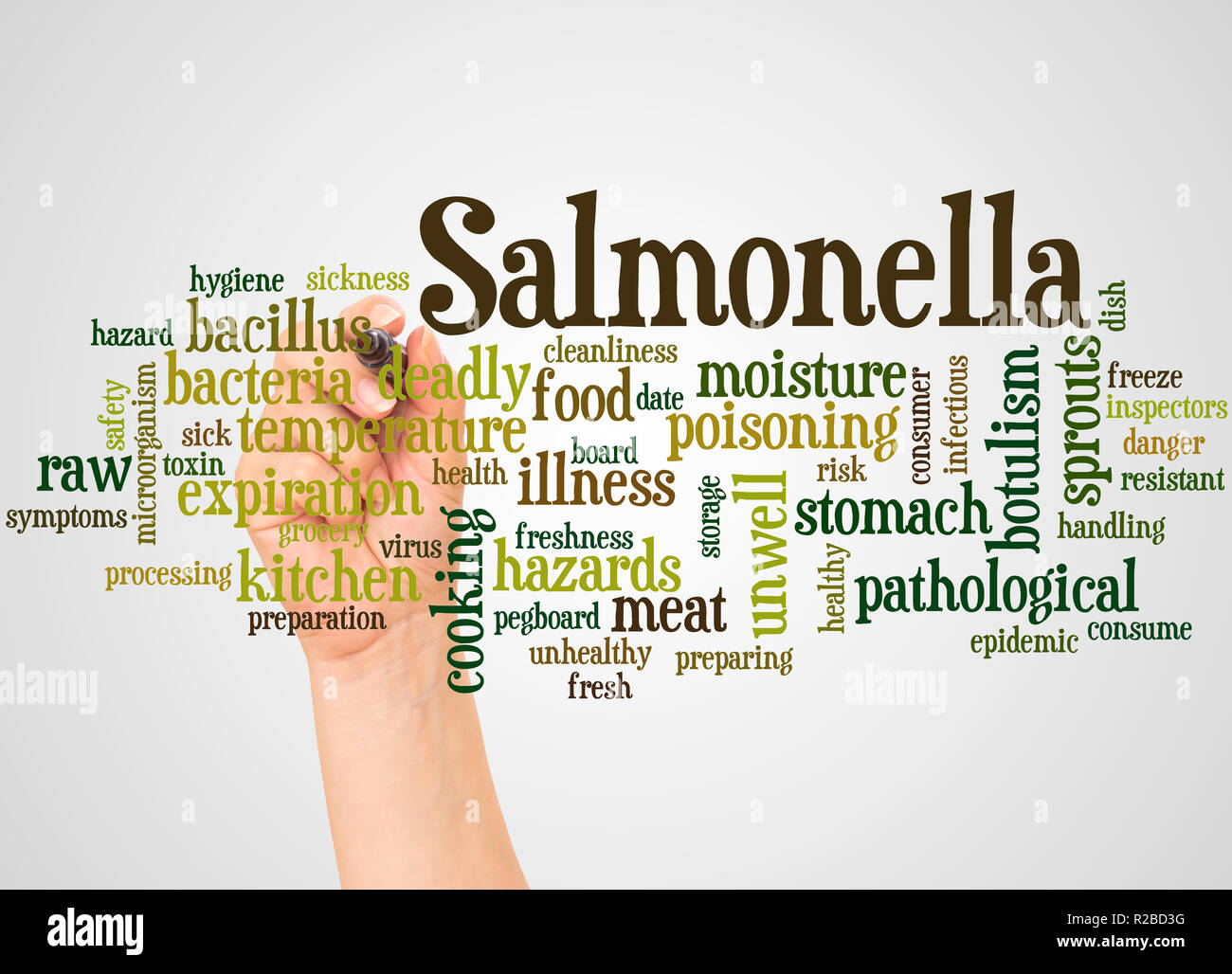 Salmonella word cloud and hand with marker concept on white background