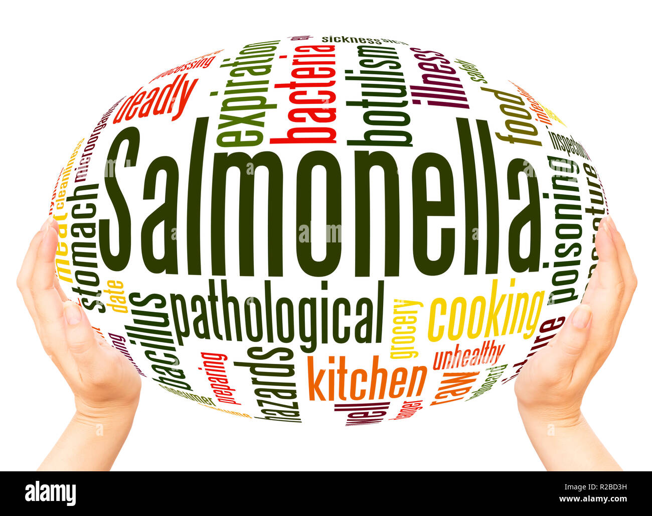 Salmonella word cloud hand sphere concept on white background Stock