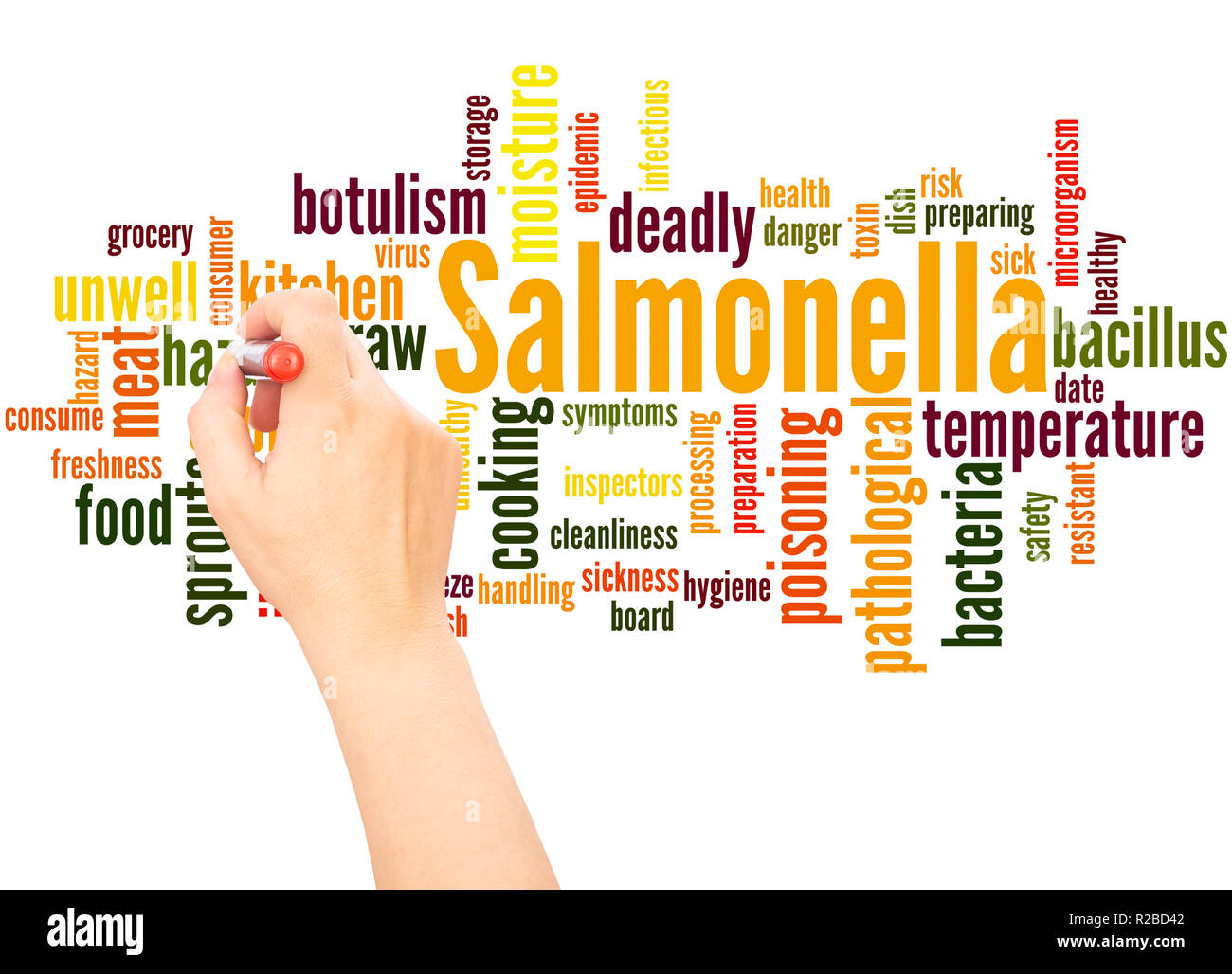 Salmonella word cloud concept on white background Stock Photo Alamy