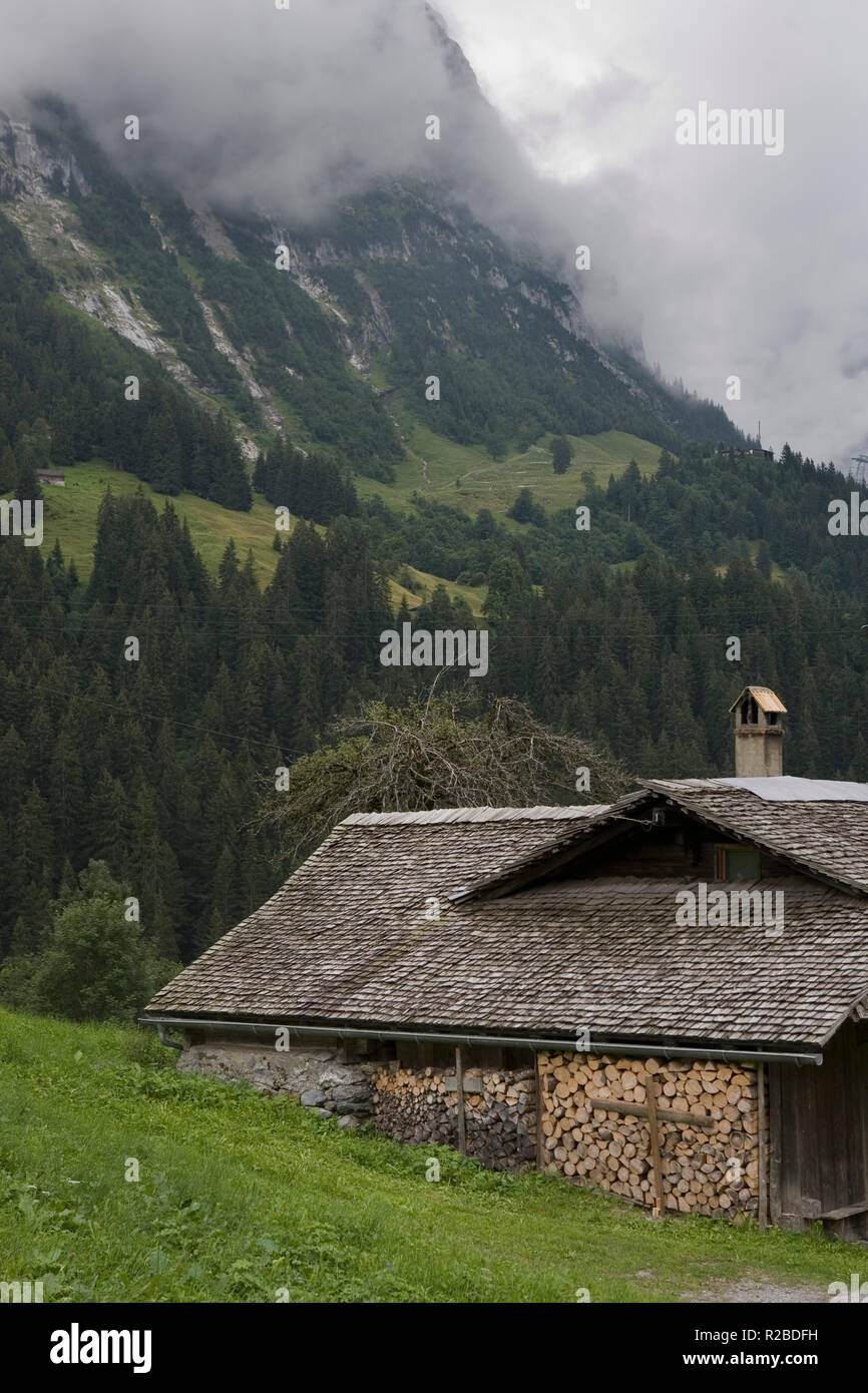 Alpine meadow at Unterhäusern in the Lütschental, with the steep slopes of the Mättenberg disappearing into low cloud:Grindelwald, Switzerland Stock Photo