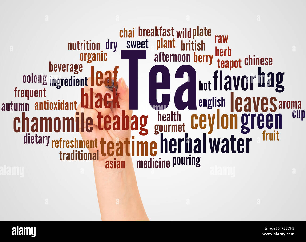 Tea word cloud and hand with marker concept on white background Stock