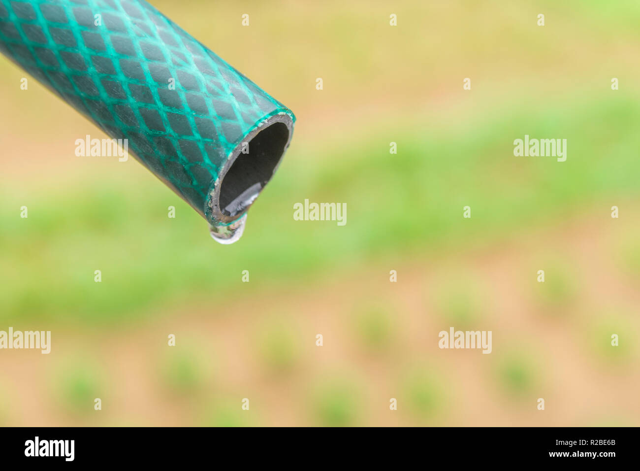 Braided PVC garden hosepipe against dry vegetable garden, veggie patch