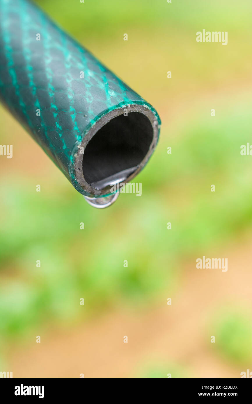 Braided PVC garden hosepipe against dry vegetable garden, veggie patch