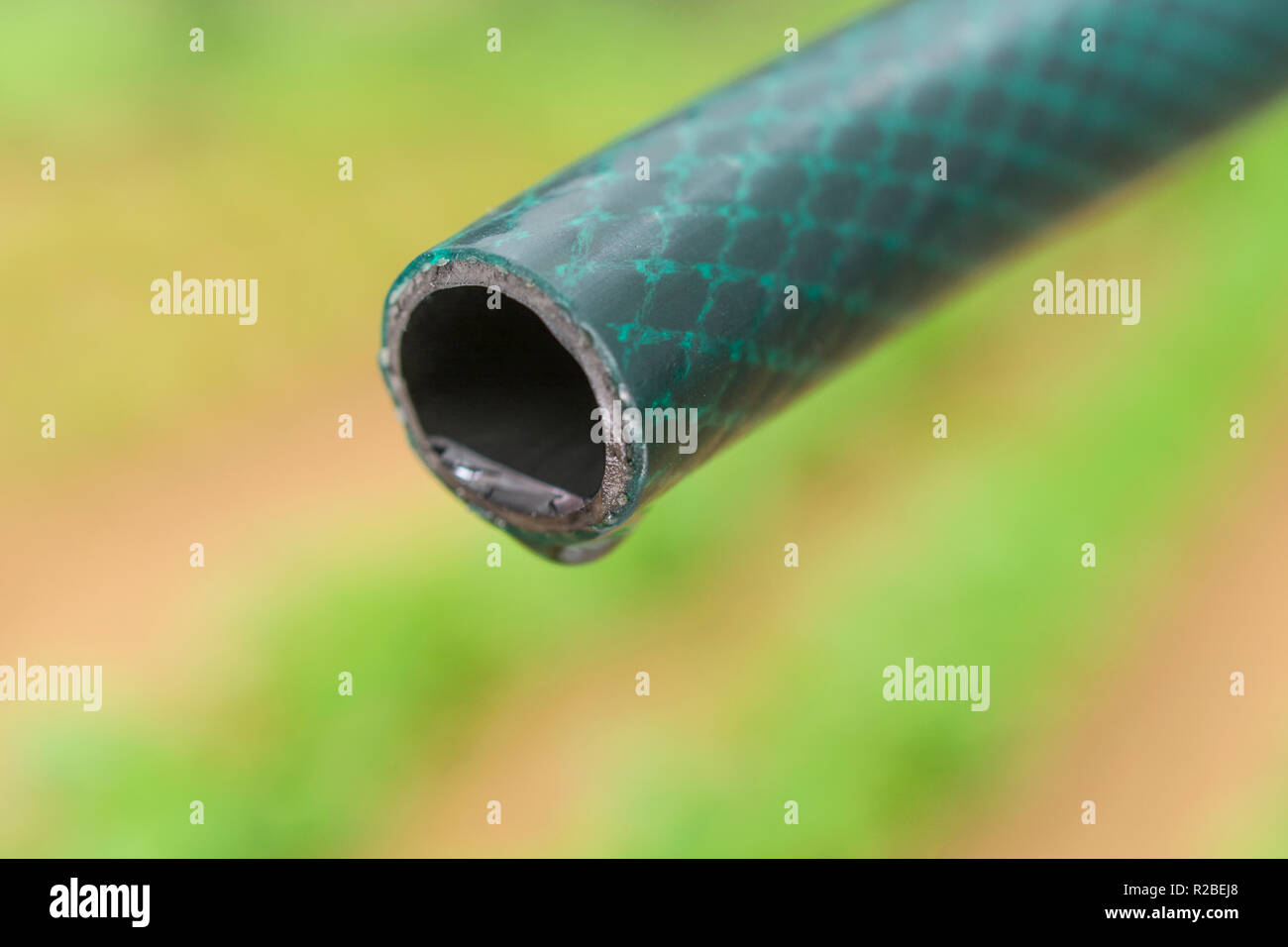 Braided PVC garden hosepipe against dry vegetable garden, veggie patch