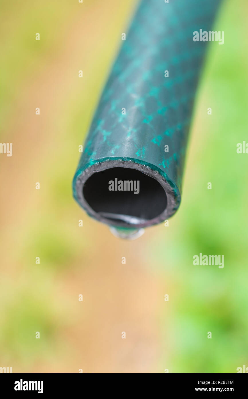 Braided PVC garden hosepipe against dry vegetable garden, veggie patch