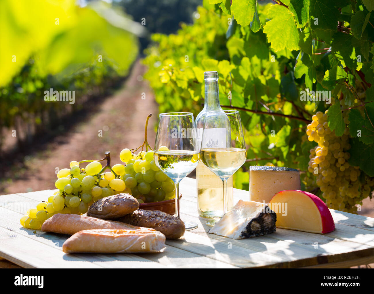 https://c8.alamy.com/comp/R2BH2H/glasses-and-bottles-of-white-wine-cheese-bread-and-grapes-against-sunny-vineyard-R2BH2H.jpg