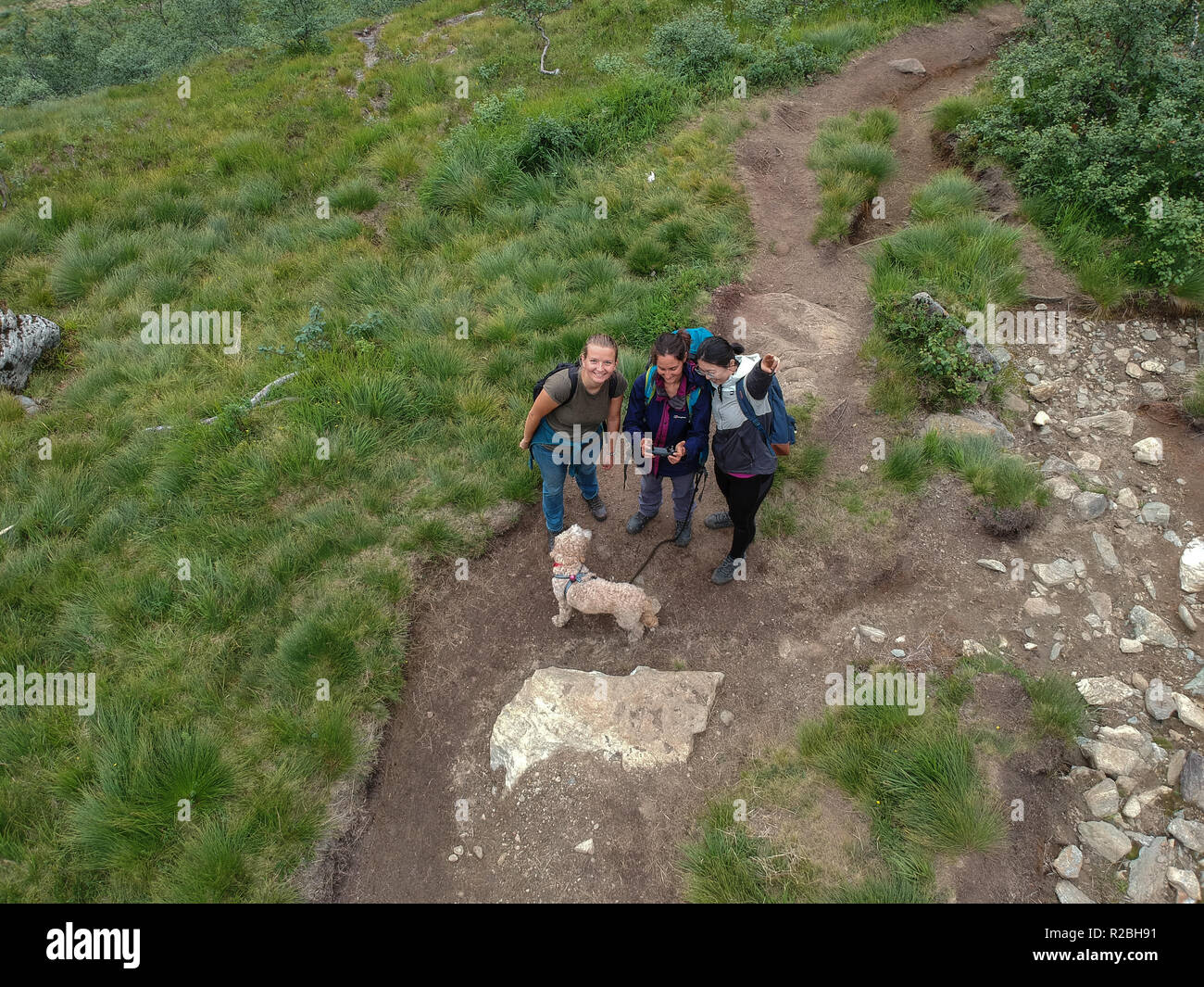 Aerial view of female hikers with a dog Stock Photo