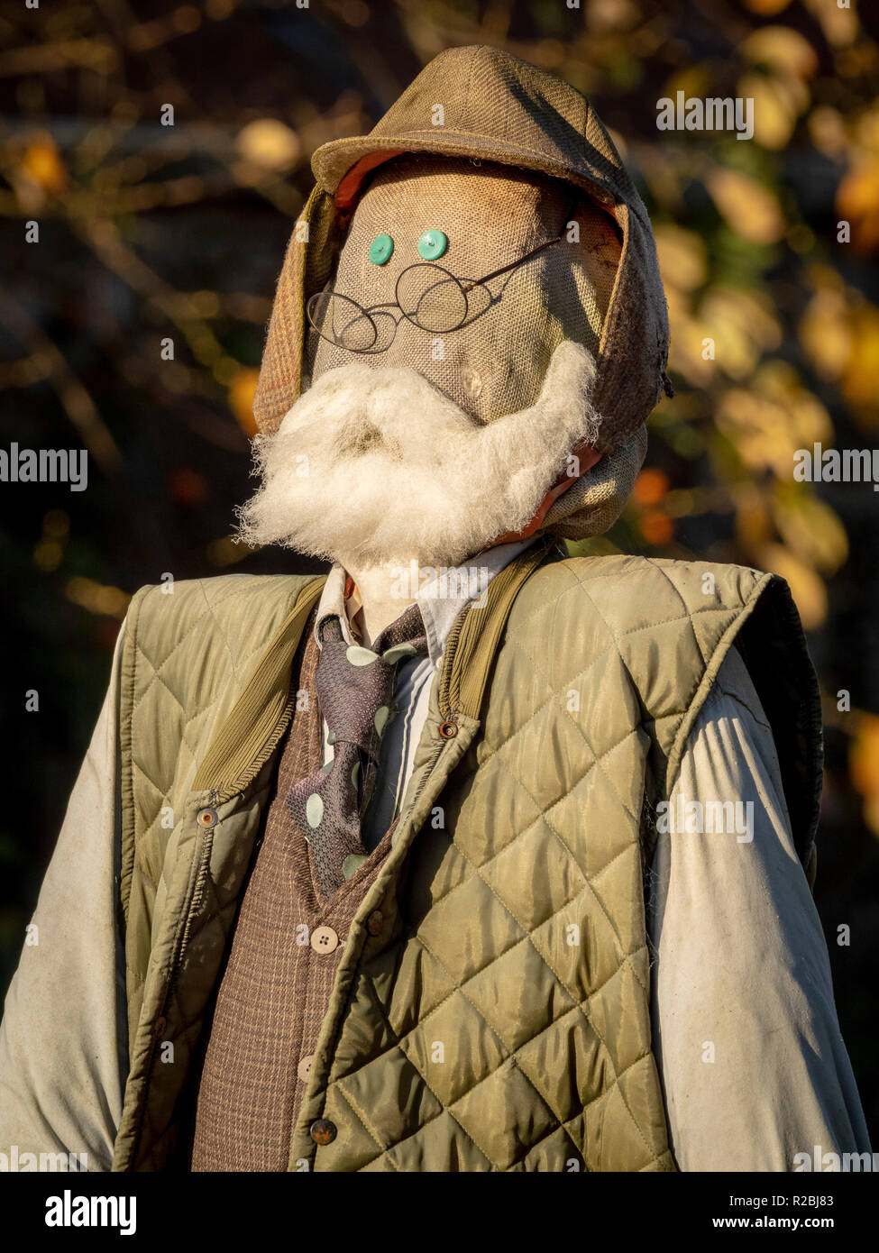 Scarecrow based on old man with beard, round glasses and hat like Mr McGreggor Stock Photo