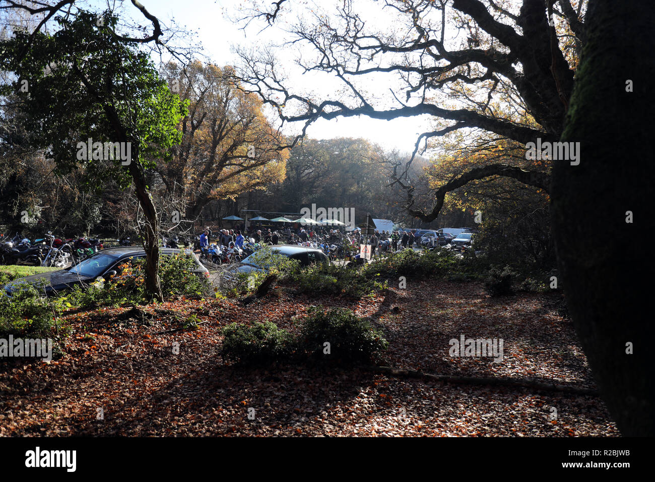 High beach epping forest hi-res stock photography and images - Alamy