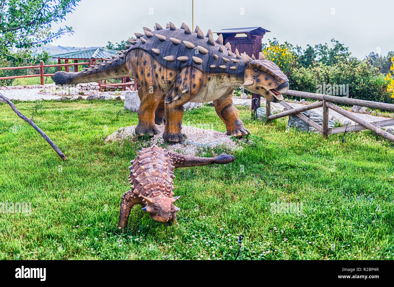 Ankylosaurus skeleton hi-res stock photography and images - Alamy