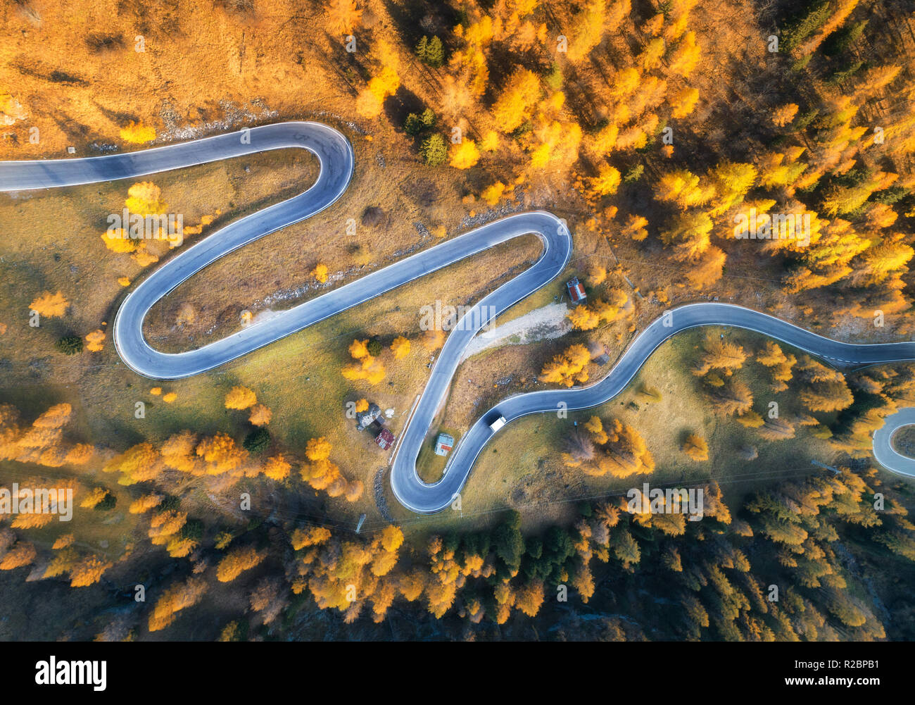Aerial view of the winding road in autumn forest at sunset in mountains ...