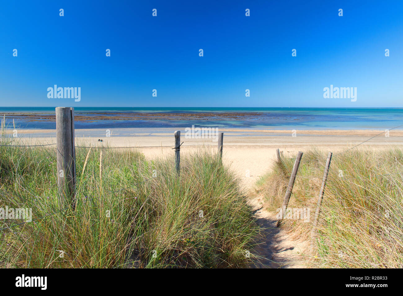 Ile de Rée- Beach exit with grass sand and sea at the horizon Stock ...