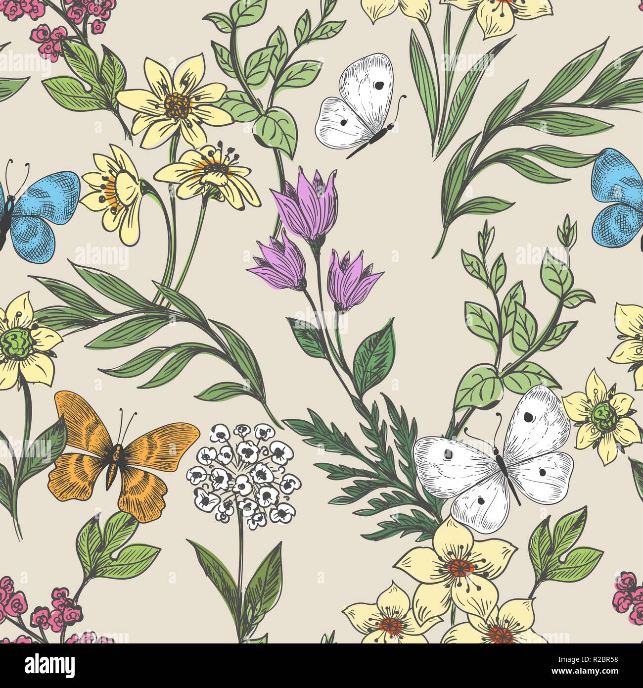 Wildflowers and butterflies background Stock Vector Image & Art Alamy