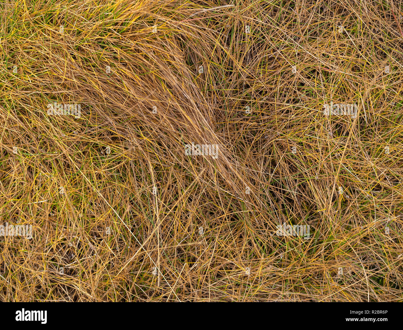 Dry grass stack hires stock photography and images Alamy