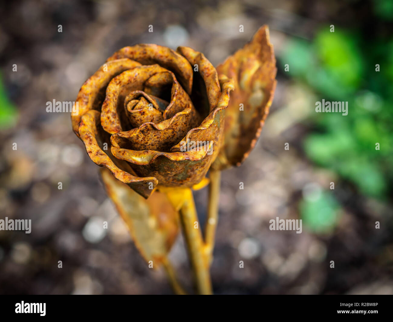Rusty golden rose made of metal Stock Photo