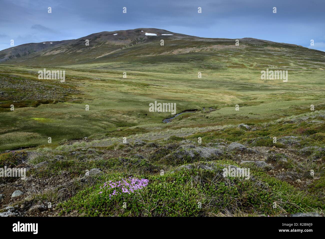 Beautiful Icelandic landscape on peninsula Skagi. A mountain in the ...