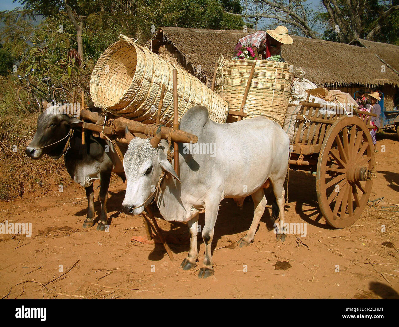 Cart and conveyance hi-res stock photography and images - Alamy
