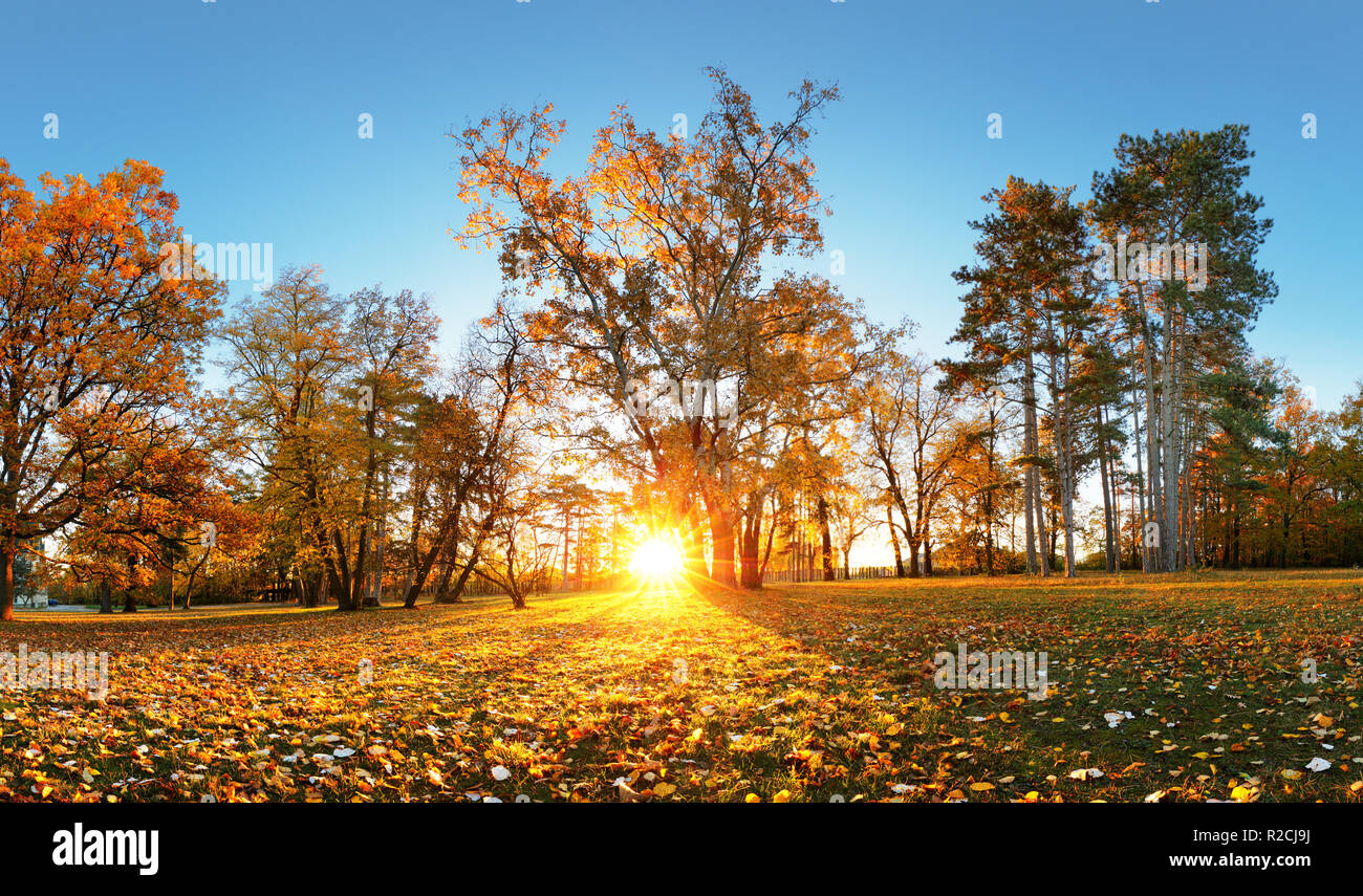 Beautiful park garden in atumn. Fall panorama in park at sunrise in Slovakia Stock Photo