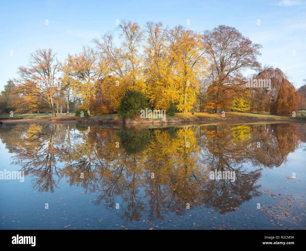 trees in autumn colors reflected in blue water of pond in the ...