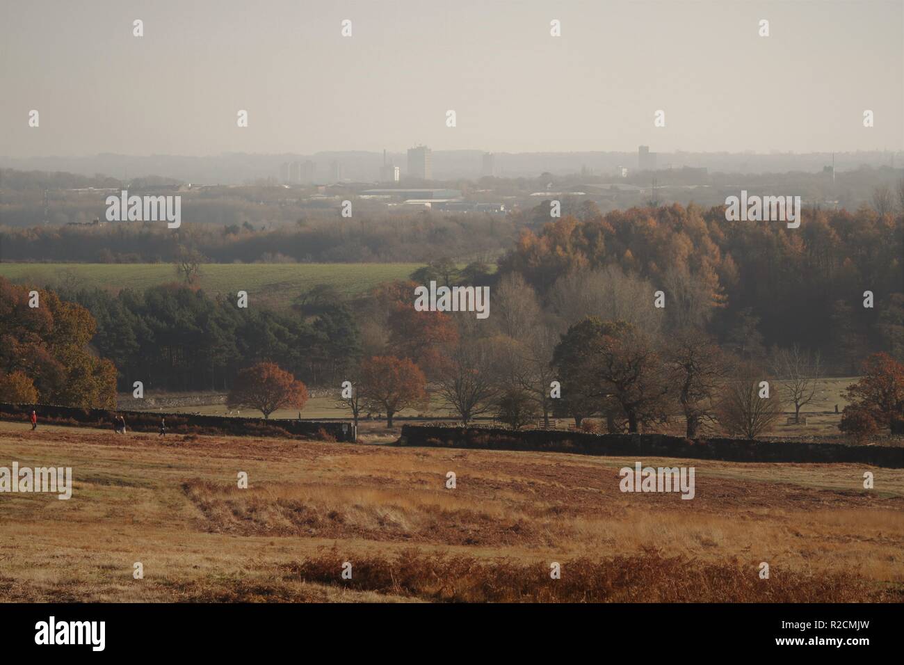 Bradgate Park, Leicestershire, UK Stock Photo Alamy