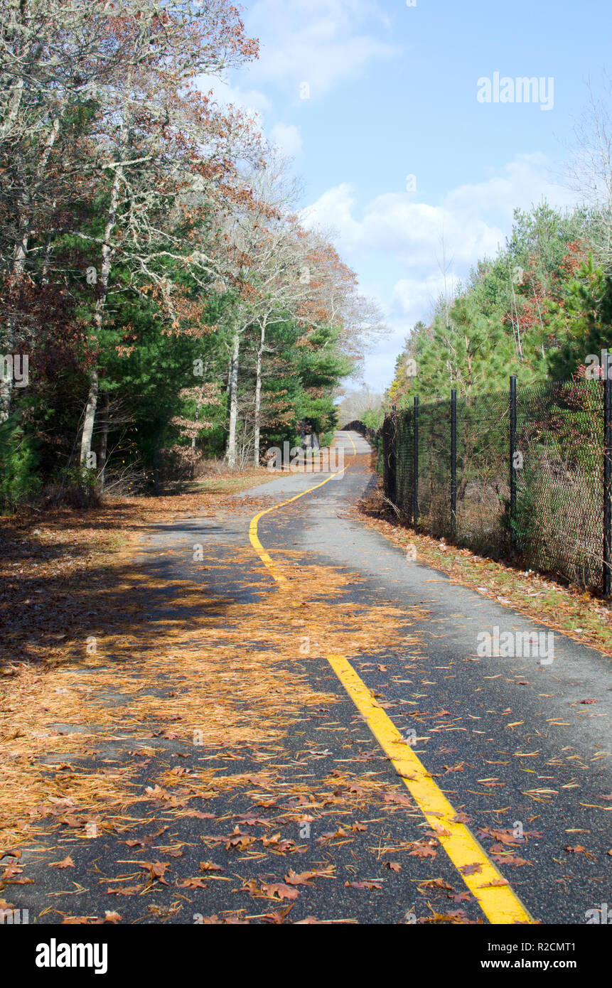 Shining Sea Bikeway in Falmouth, Cape Cod, Massachusetts USA in late autumn with pine needles on path Stock Photo