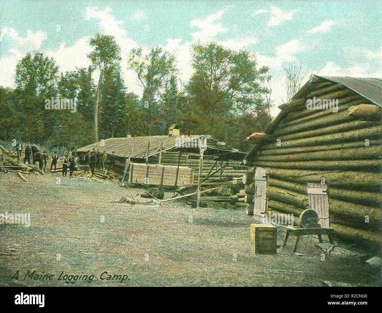 A Maine logging camp in 1906 Stock Photo Alamy