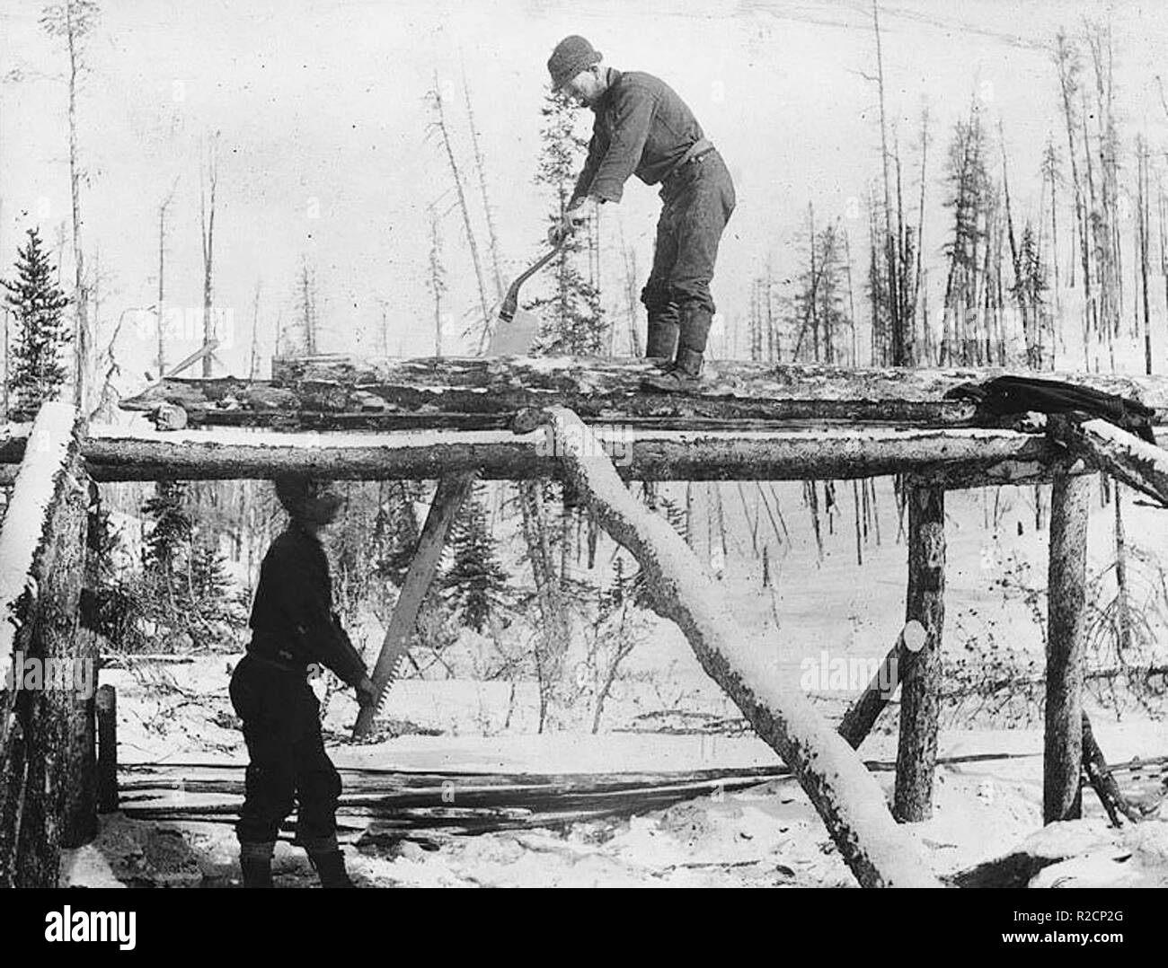 Lumber Black and White Stock Photos & Images Alamy