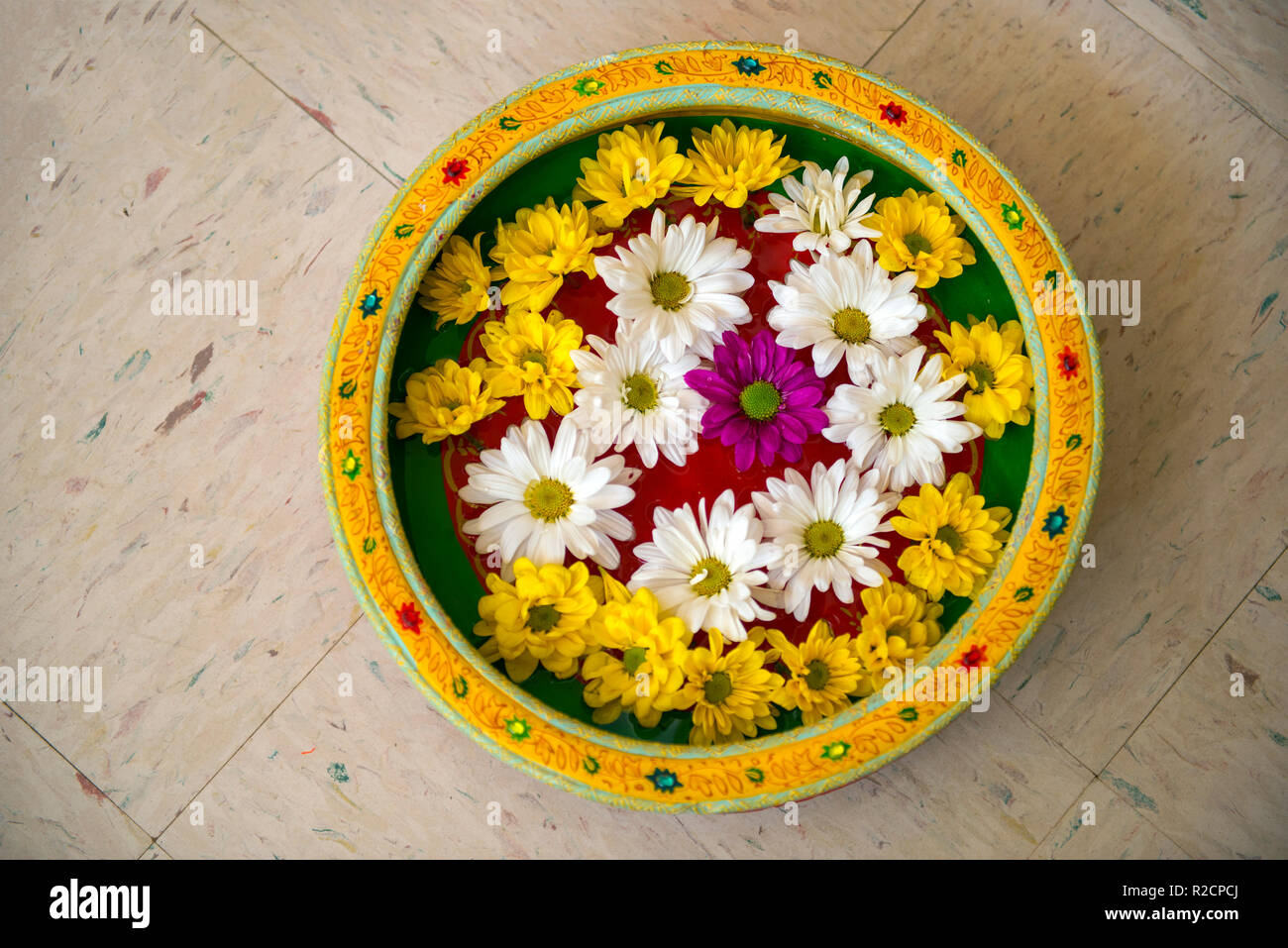 A set of colorful flowers arranged in a vase of water Stock Photo Alamy