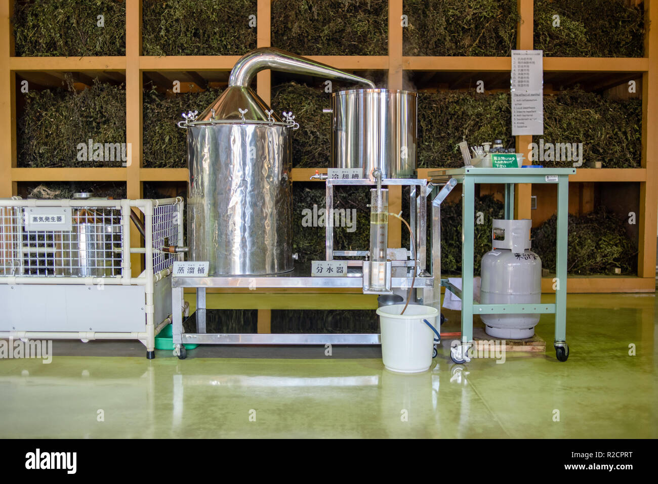 The production process of mint in Mint Distillation Hall as the part of