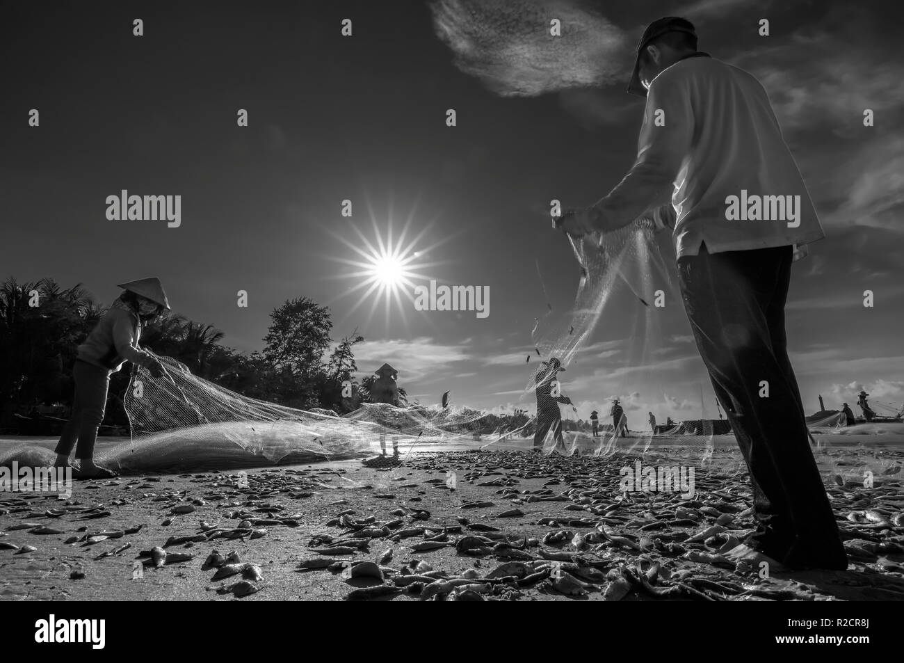 https://c8.alamy.com/comp/R2CR8J/fishermen-are-doing-fishing-net-after-catching-as-a-way-of-living-in-the-coastal-fishing-village-this-is-hard-work-but-many-families-in-phan-thiet-R2CR8J.jpg