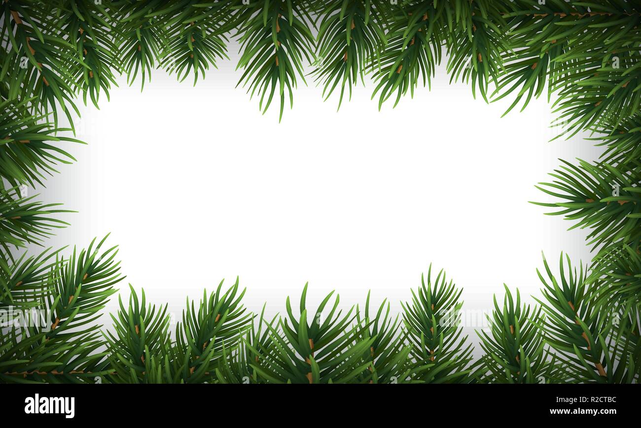 Winter holiday background with fir leaf border. Isolated Christmas ...