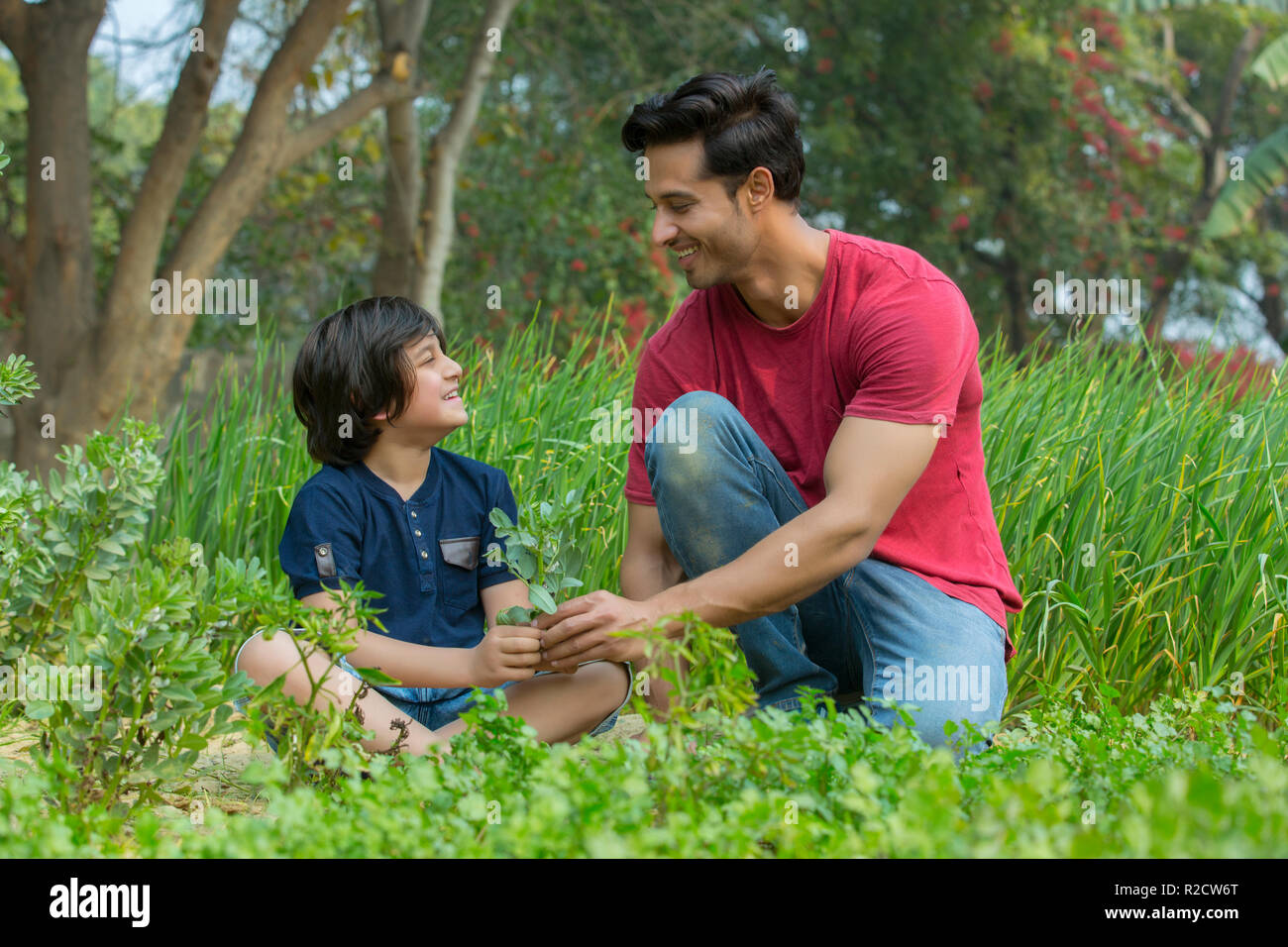 Happy father and son cutting leafy vegetables sitting in garden. Stock Photo