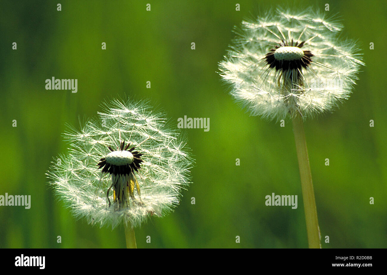 Flugapparat High Resolution Stock Photography and Images - Alamy